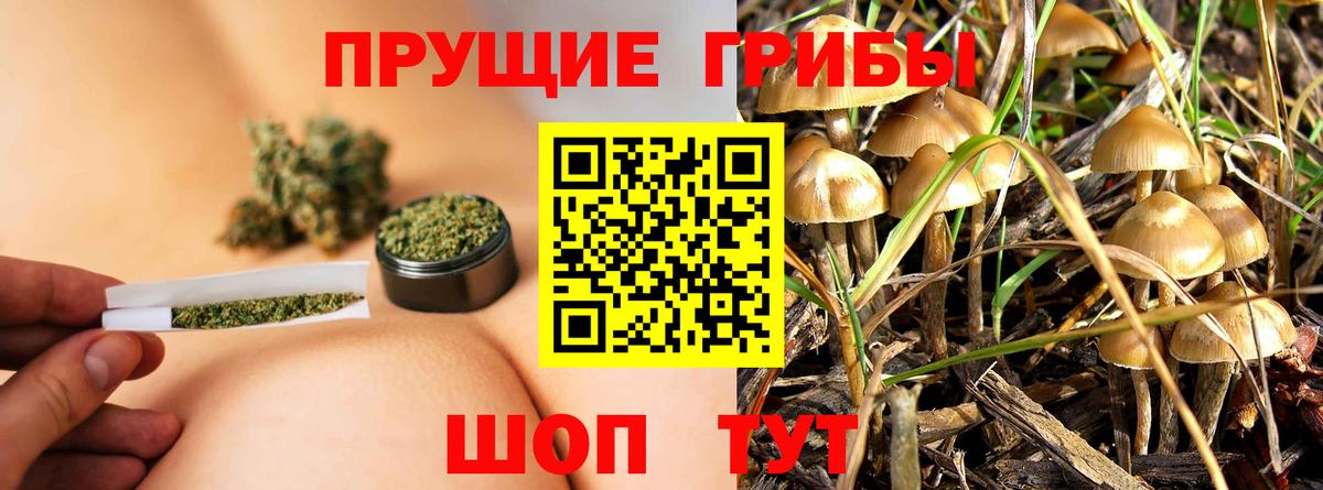 Галлюциногенные грибы Magic Shrooms Донецк