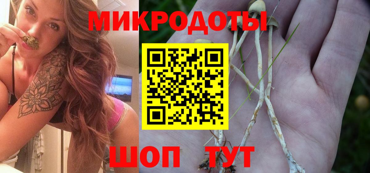 Донецк  Псилоцибиновые грибы мицелий  Вход с VPN 