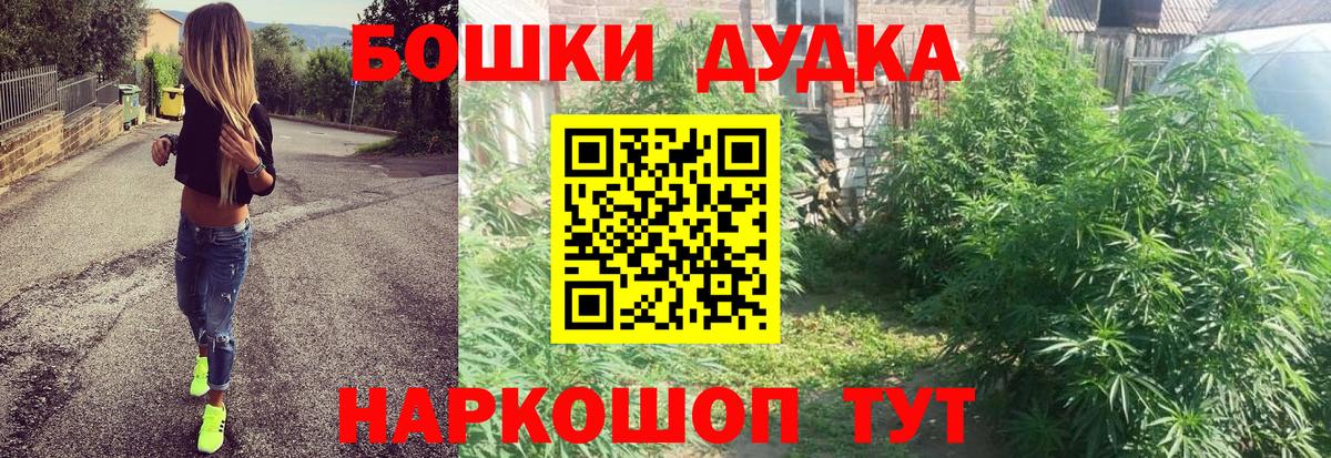 Каннабис сатива Донецк